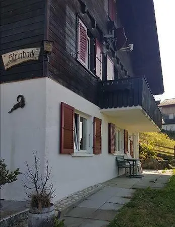 Chalet Steinbock 公寓 哈斯利伯格