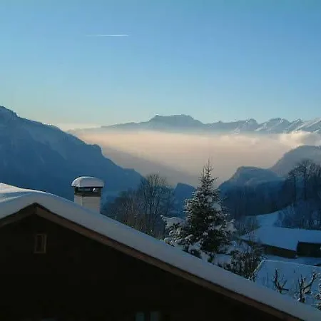 公寓 Chalet Steinbock 哈斯利伯格